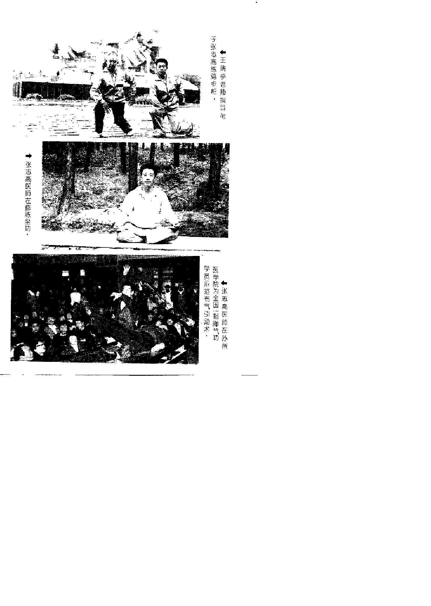 预览第3页