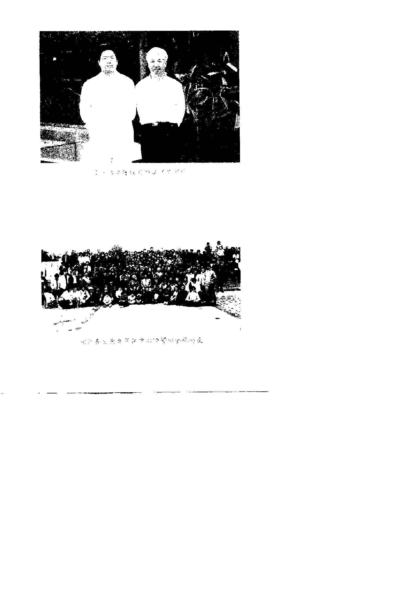 预览第3页