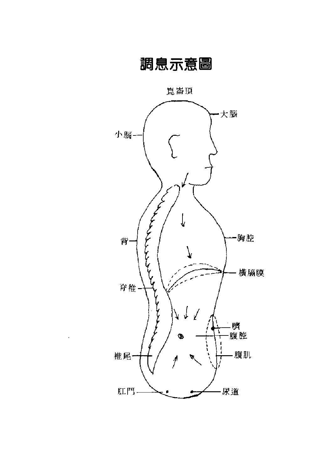 预览第1页