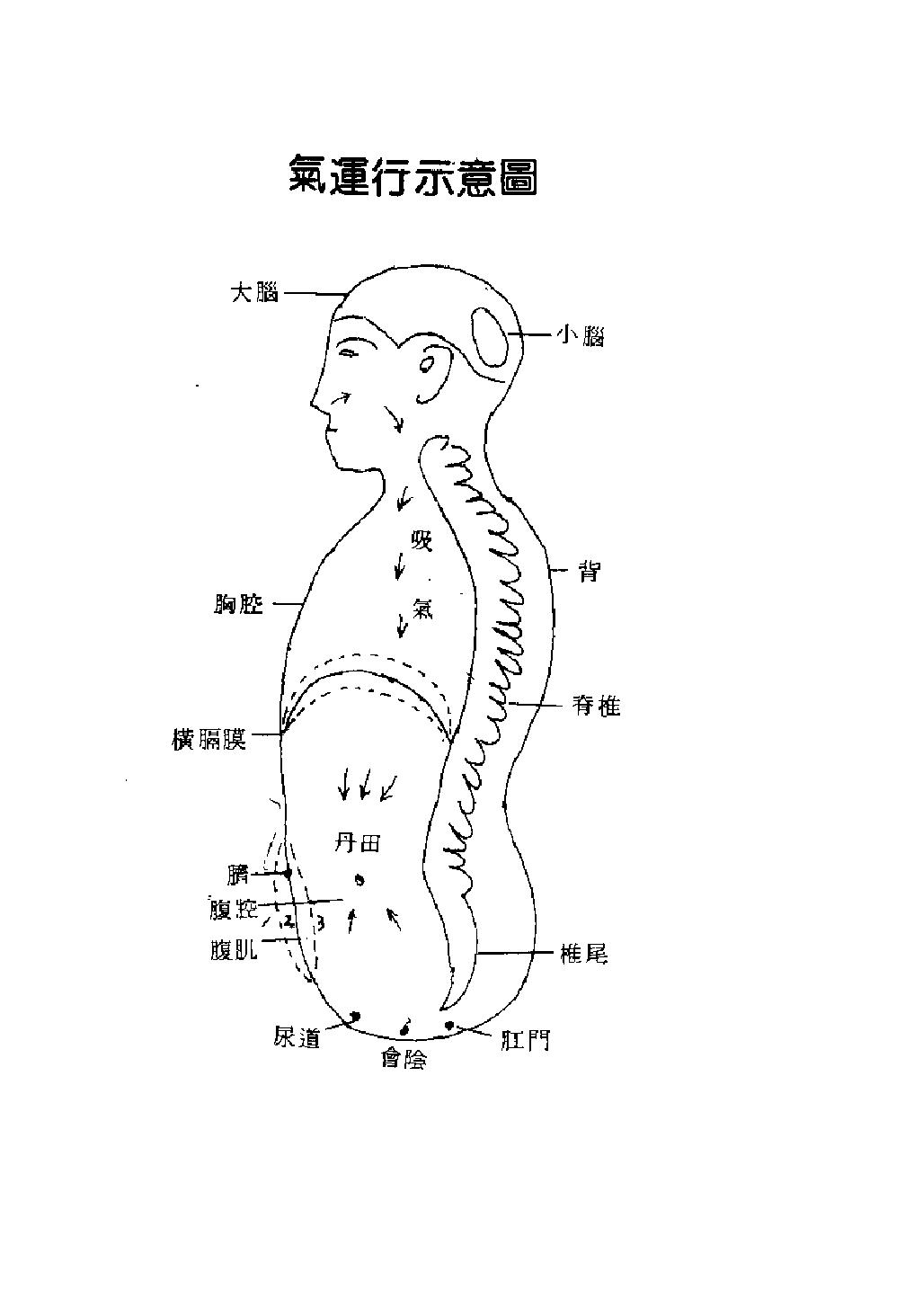 预览第2页