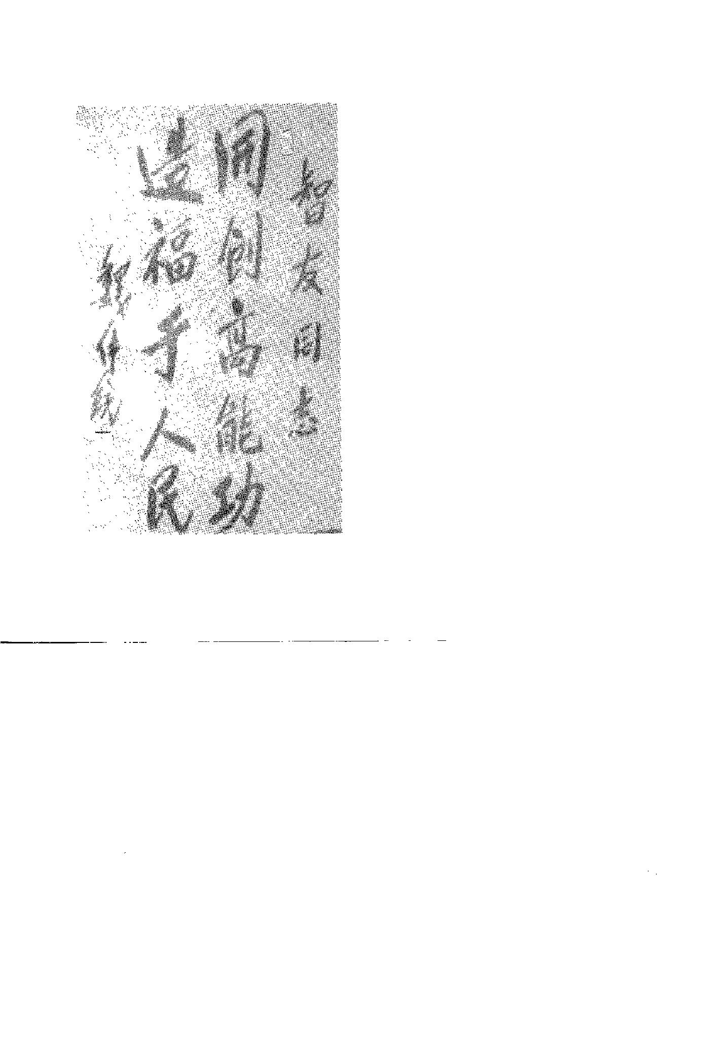 预览第2页