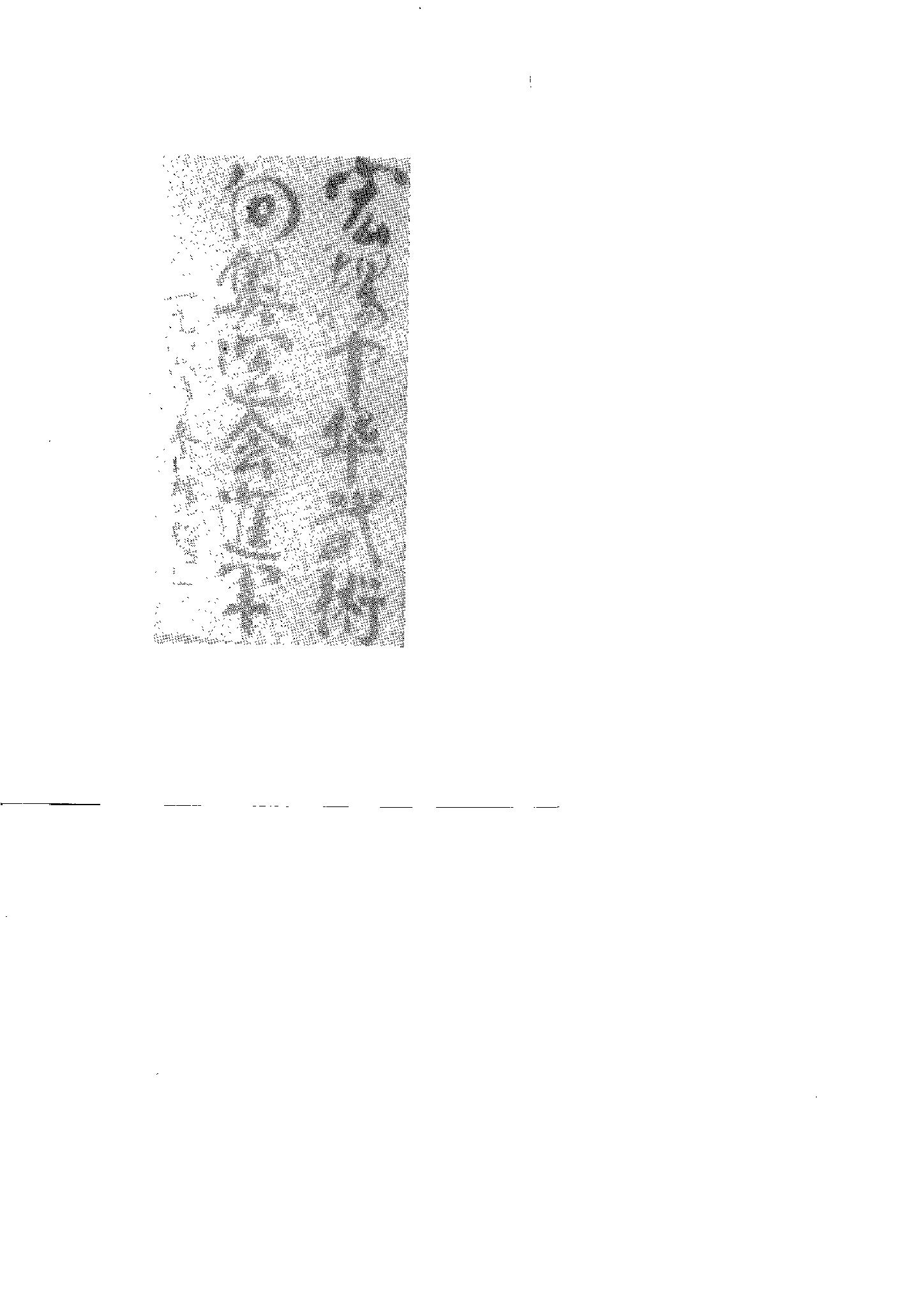 预览第3页