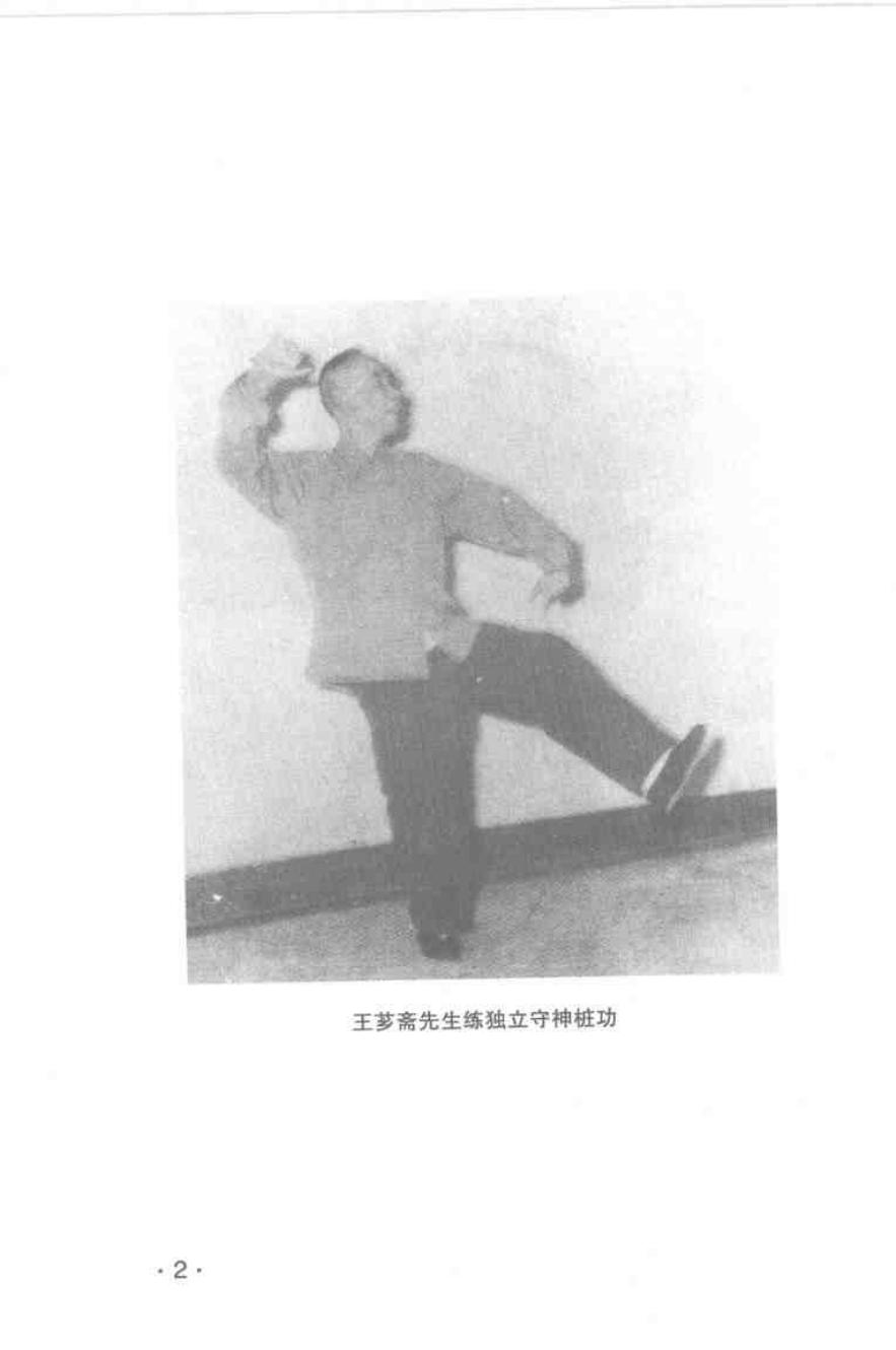 预览第3页